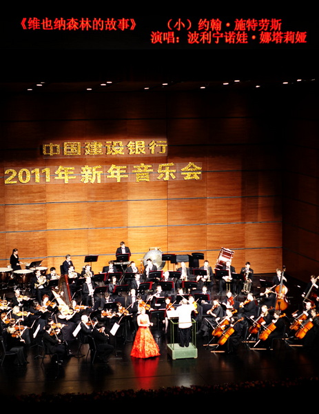 2011新年音乐会