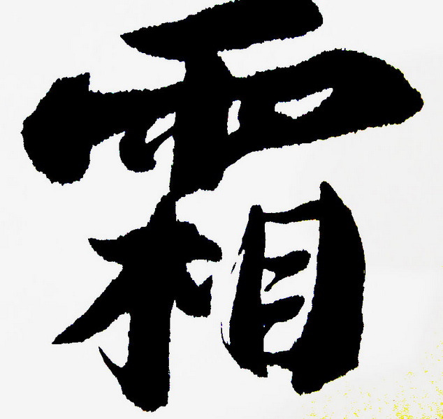 DSC02380.jpg