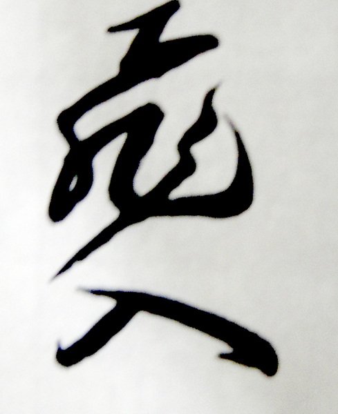 DSC02413.jpg