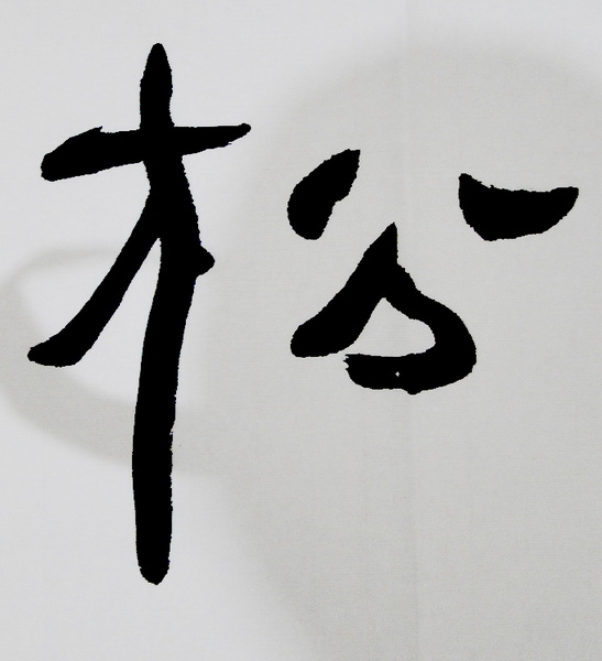 DSC02417.jpg