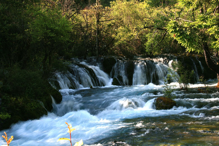 03-IMG_8340.JPG