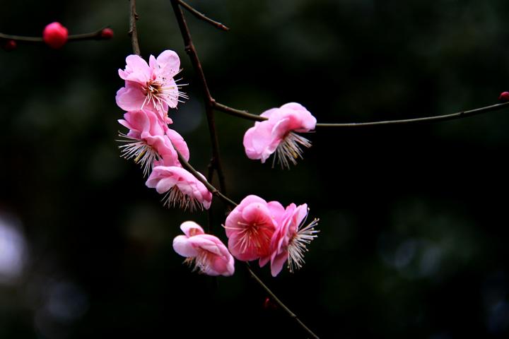 IMG_4371.JPG