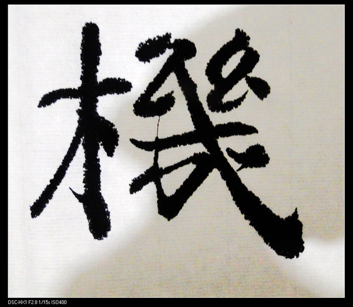 DSC02760.jpg