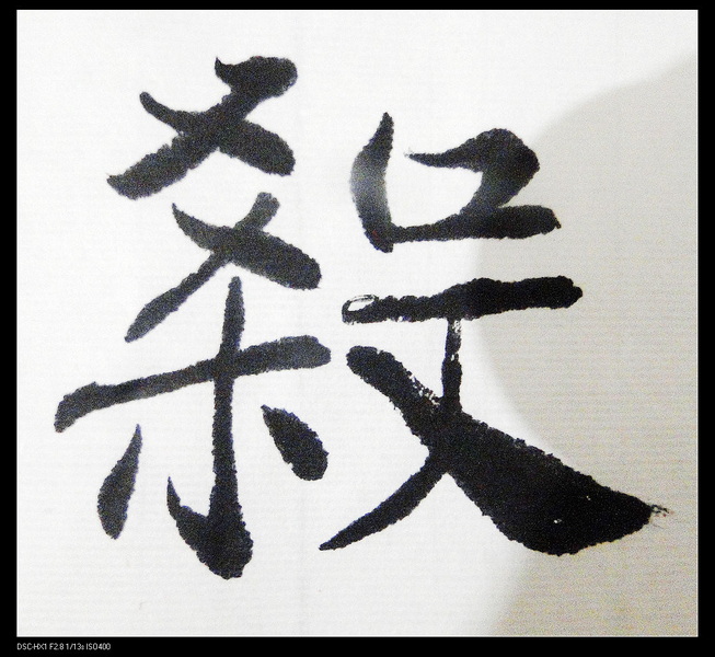DSC02769.jpg