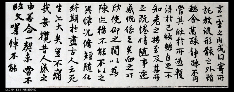 DSC02786照片1.jpg
