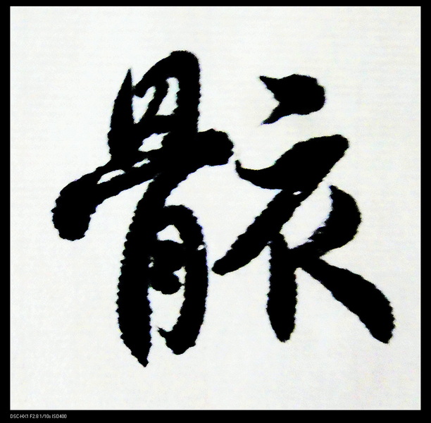 DSC02787.jpg