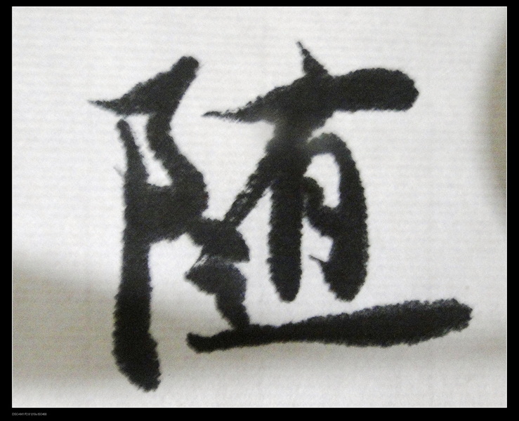 DSC02790.jpg