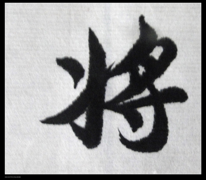 DSC02788.jpg