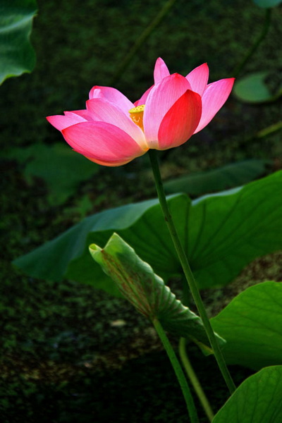 IMG_8878.JPG