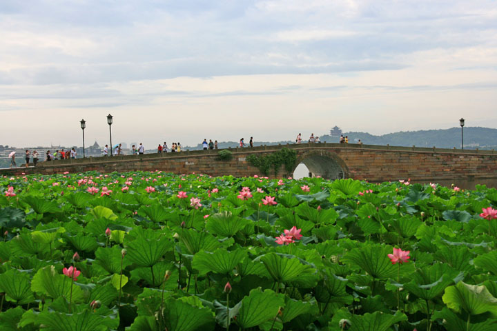IMG_9062.JPG