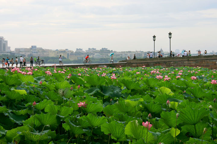 IMG_9063.JPG