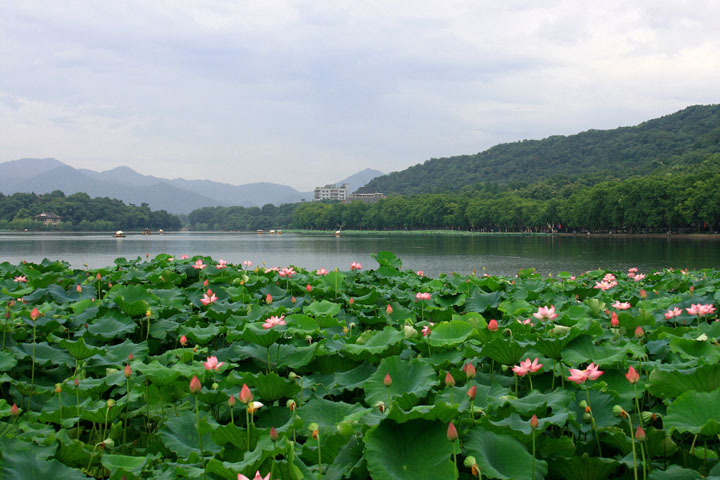 IMG_9094.JPG