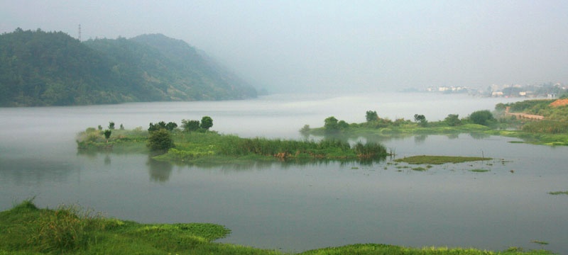 IMG_9983.JPG