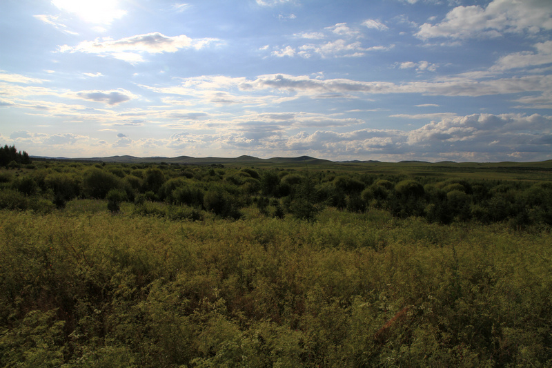 IMG_7150.jpg