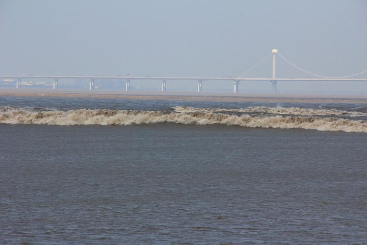 IMG_0154.JPG