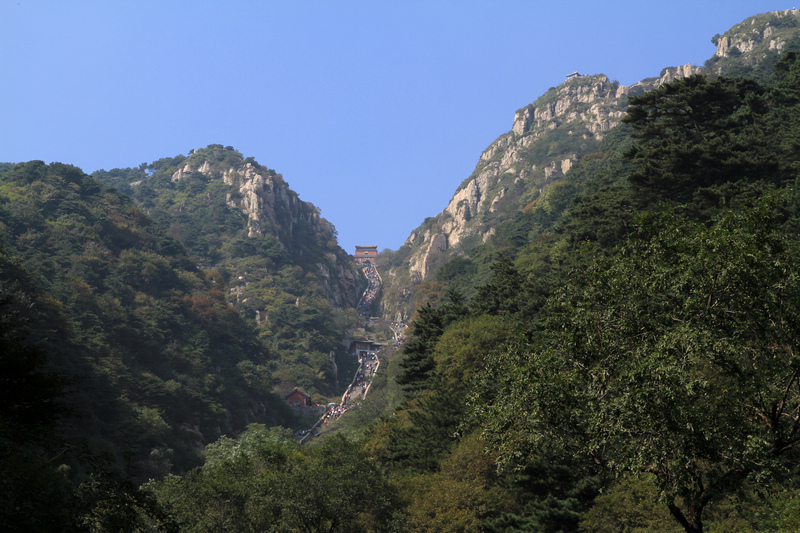IMG_8964.JPG
