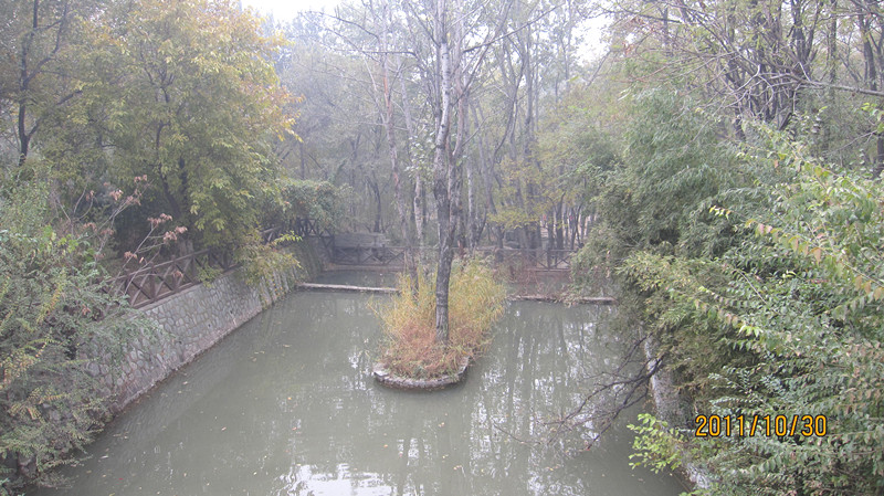 IMG_1316_副本.jpg