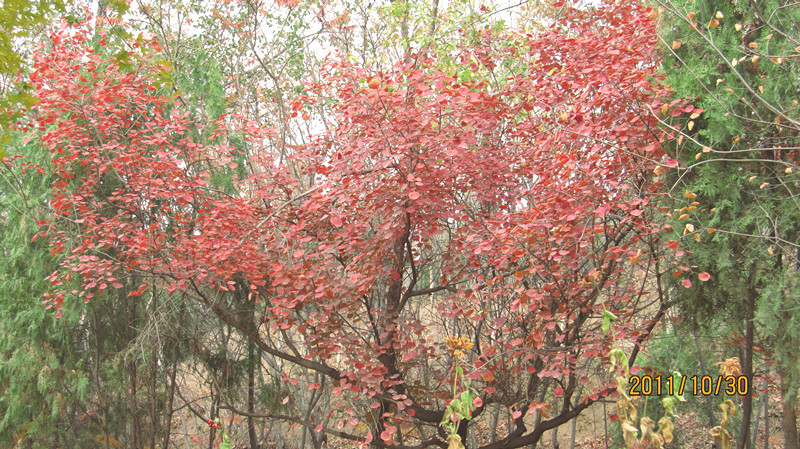 IMG_1052_副本.jpg