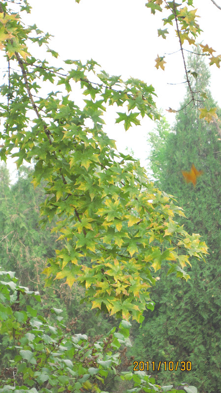 IMG_1030_副本.jpg
