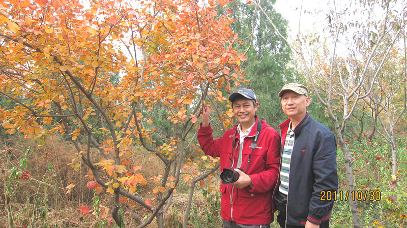 IMG_1045_副本.jpg