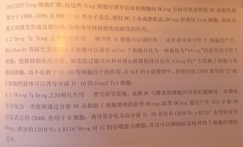 石炳毅3.JPG