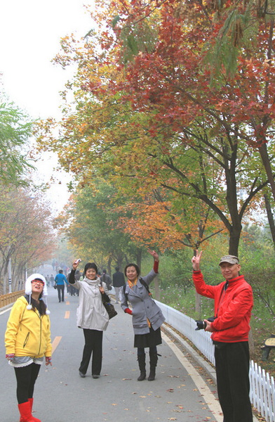 IMG_8914_副本_副本.jpg
