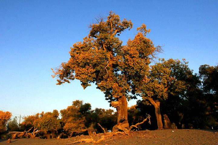 193513wguqwtttrmbtdfru.jpg