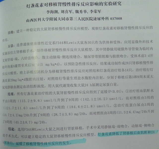 灯盏.jpg