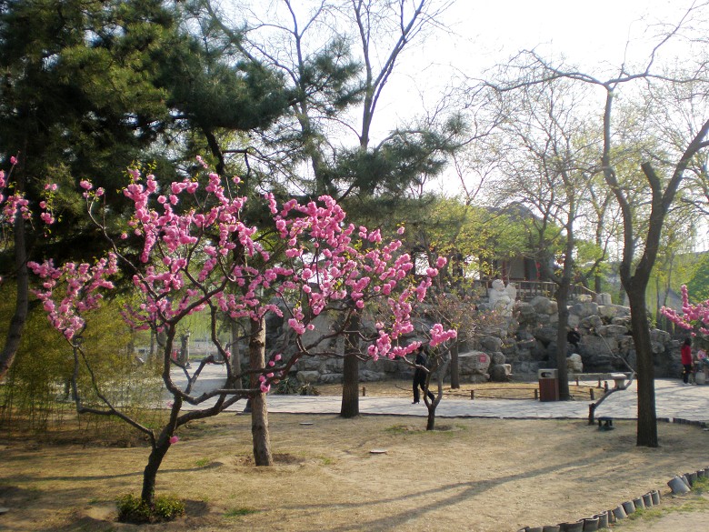 花红柳绿.jpg