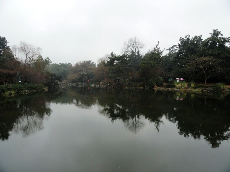 DSC08237.jpg