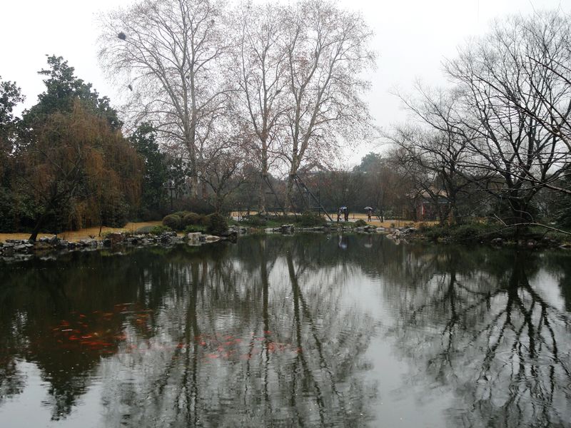 DSC08240.jpg