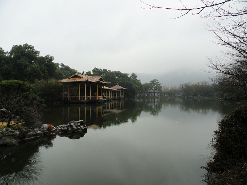 DSC08246.jpg