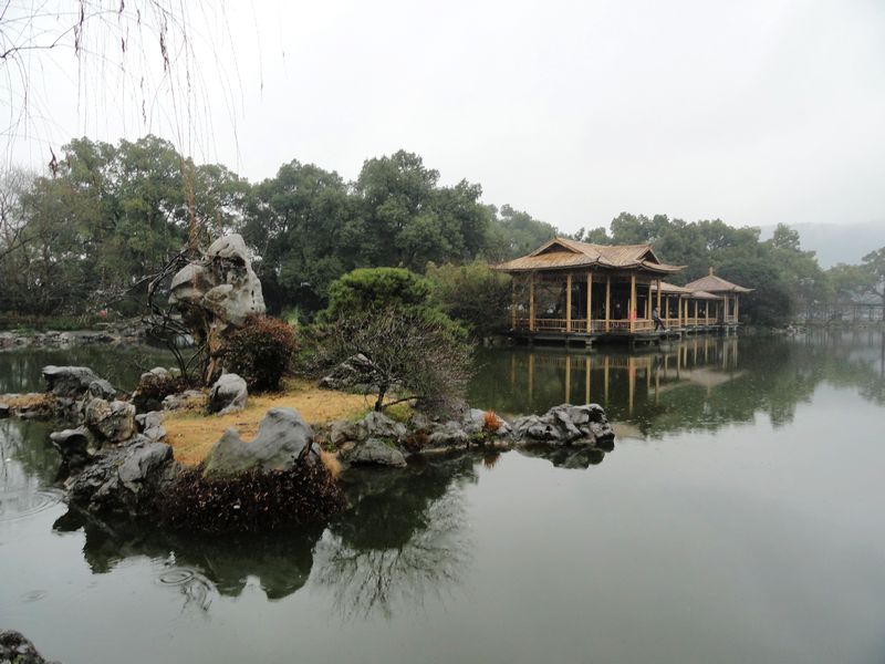 DSC08248.jpg