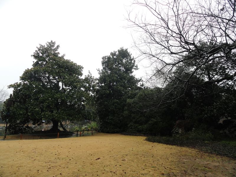 DSC08250.jpg
