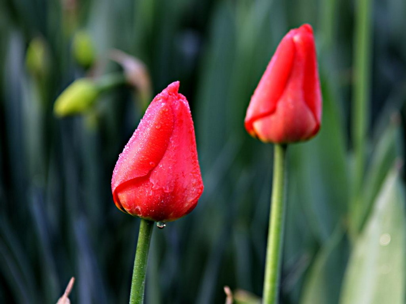 IMG_4507.JPG