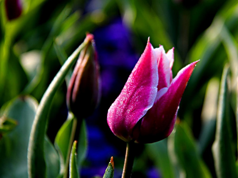 IMG_4539.JPG
