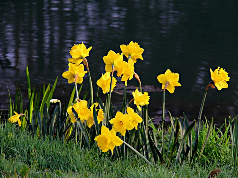 IMG_4495.JPG