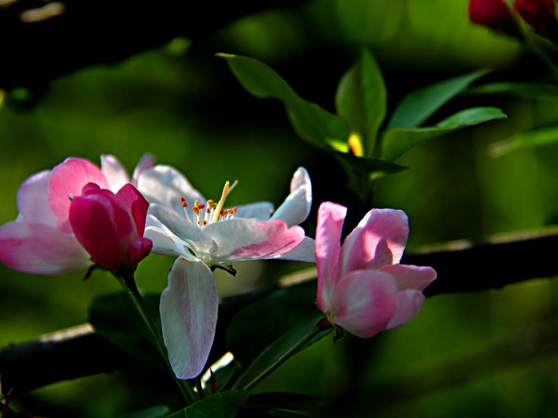 IMG_4717.JPG