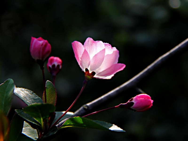 IMG_4721.JPG