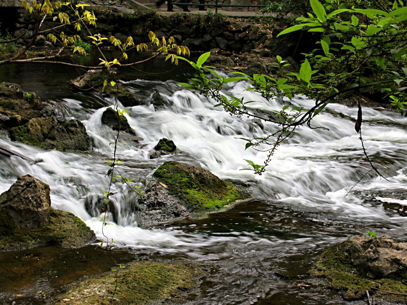 IMG_5449.JPG