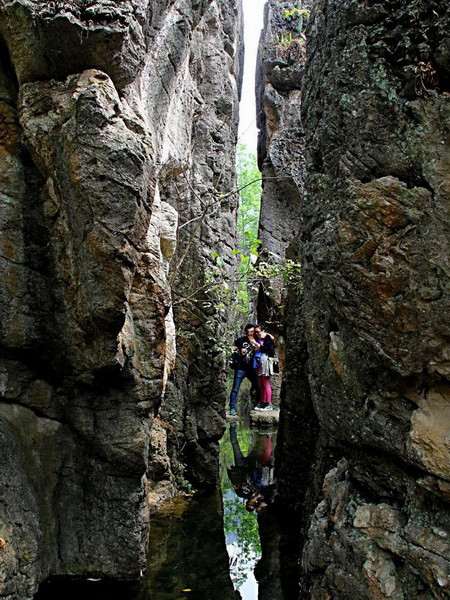 214103a1hooqoabkahoq7y.jpg