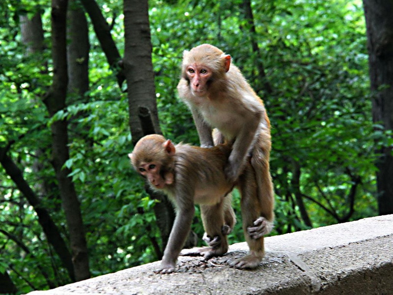 IMG_6254.JPG