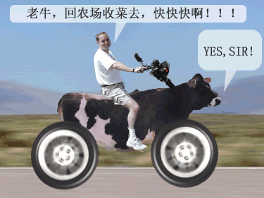 老牛.jpg
