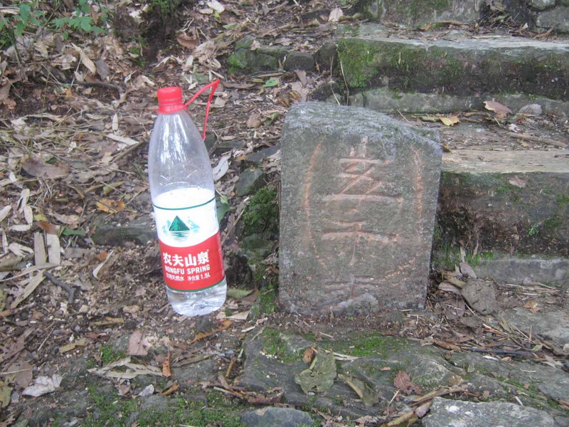IMG_1508五千步.jpg