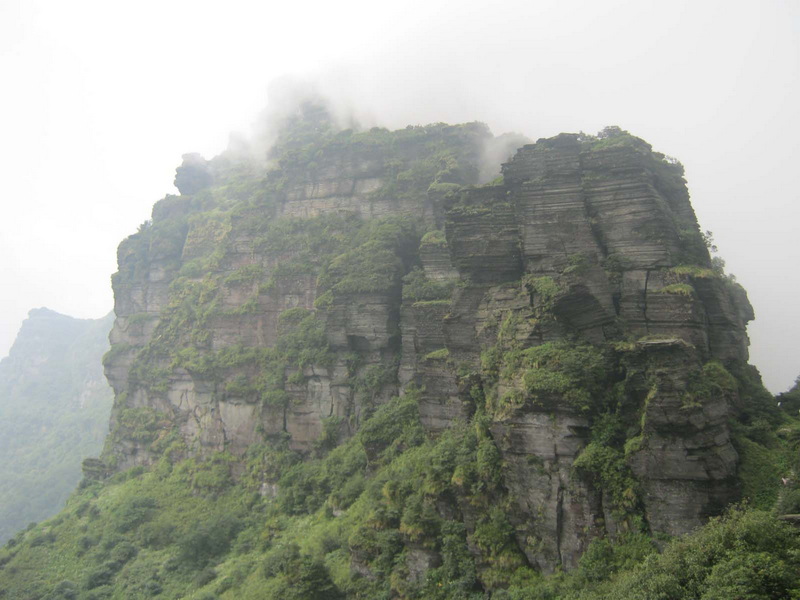 IMG_1543老金顶2450米（关闭）.jpg