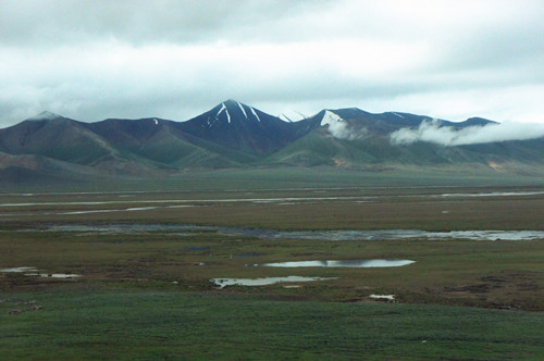 DSC01301_副本_副本.jpg
