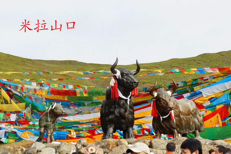 DSC01347_副本.jpg