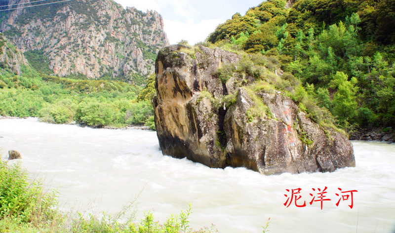 DSC01353_副本.jpg