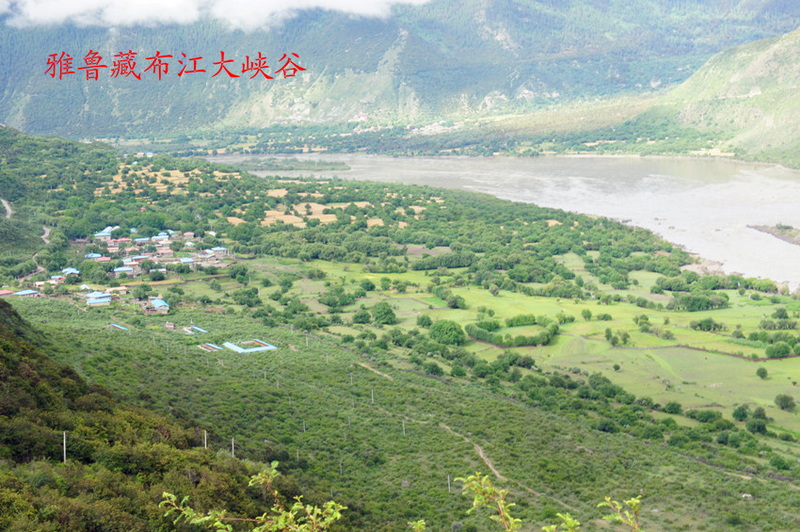 DSC01475_副本.jpg