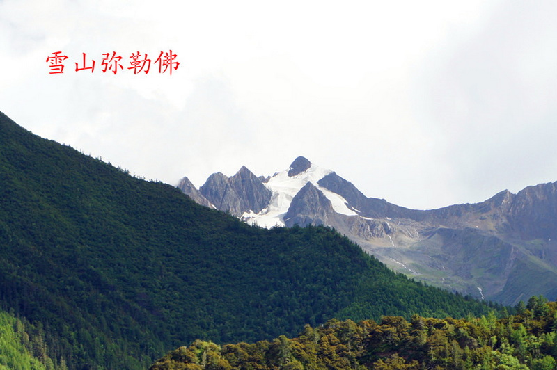 DSC01542_副本.jpg